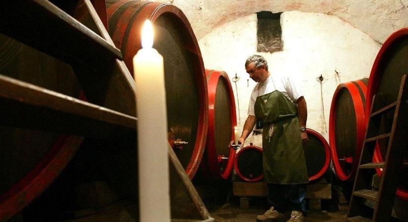 A szüreti időszak láthatatlan gyilkosa szedheti áldozatait