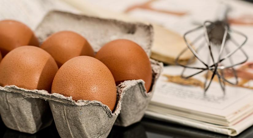 Tojásfogyasztásban az EU élvonalába tartozunk