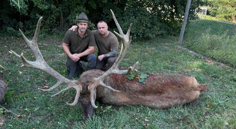 Trófearekord közelében: 12 kilós bikát lőtt egy osztrák vadász