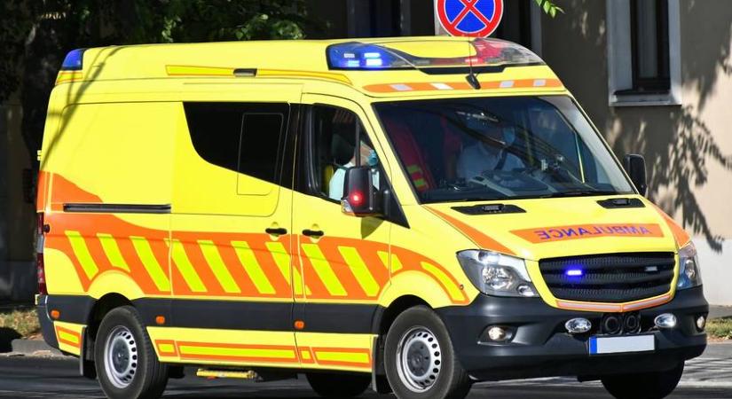 Megható képek: Tűzből kimentett cicákon segítettek az egri mentők