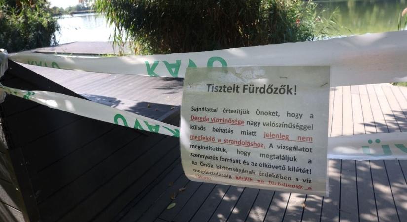 Lezárt strandok, zöldes vízfelület: továbbra sem lehet fürdeni a Desedában – fotók