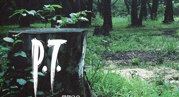 Mégsem teljesen veszett ügy a P.T.