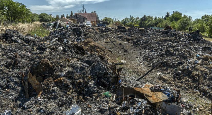 Magántulajdonú udvarokon, ipartelepeken halmozódik az olasz szemét