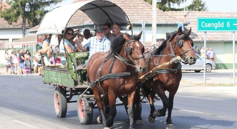 Sztárfellépők, szüreti felvonulás és fergeteges hangulat – közeleg az akasztói Kisasszony-napi búcsú