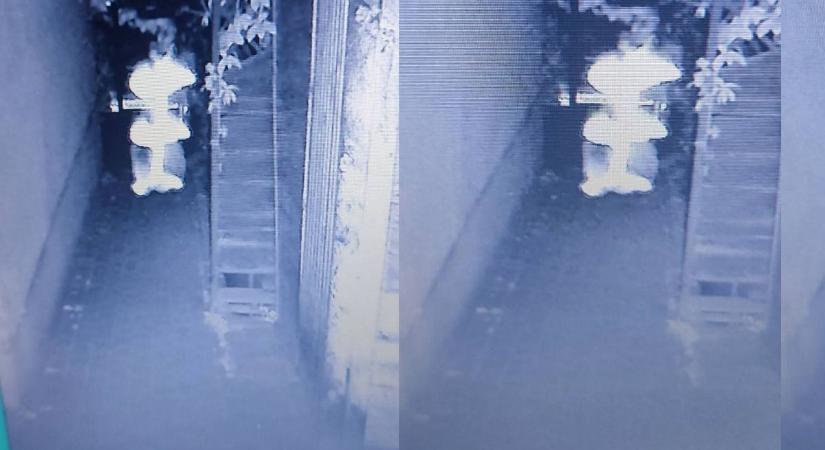 Túlvilági látogató? Szellemet kapott lencsevégre a magyar nő kamerája