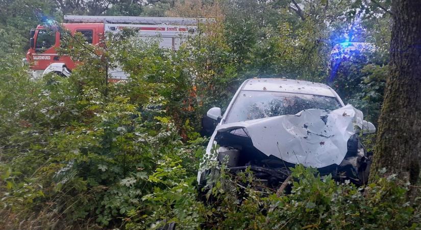 Vadat gázolt és fának csapódott egy személykocsi a 73-as főúton (helyszíni fotók)