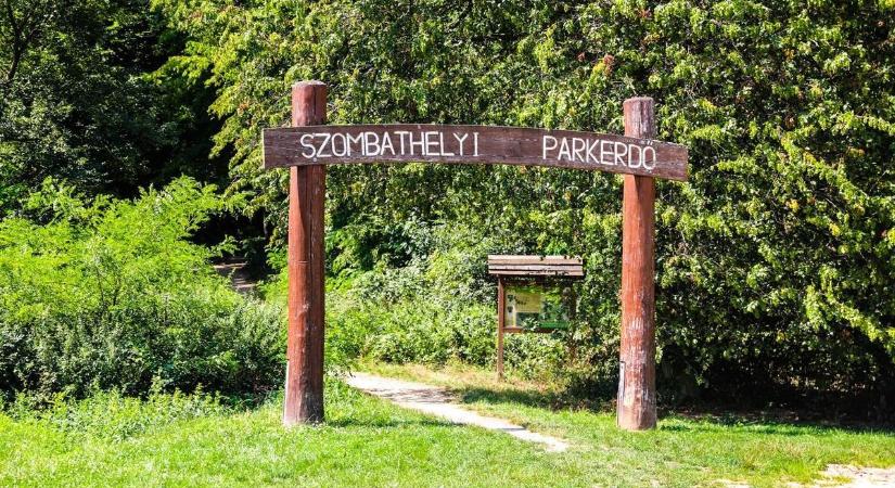Balhé a szombathelyi Parkerdőben: jégcsákánnyal támadta meg haragosa ingatlanát a felbőszült férfi