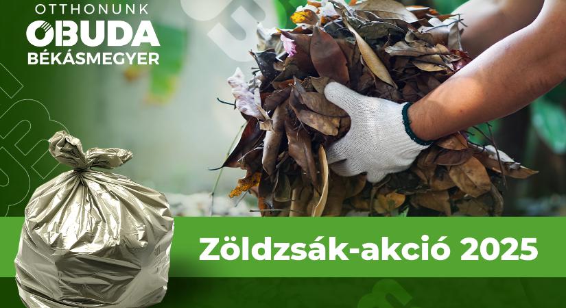 Idén ősszel is térítésmentesen igényelhetnek zöldzsákot a harmadik kerületi lakosok
