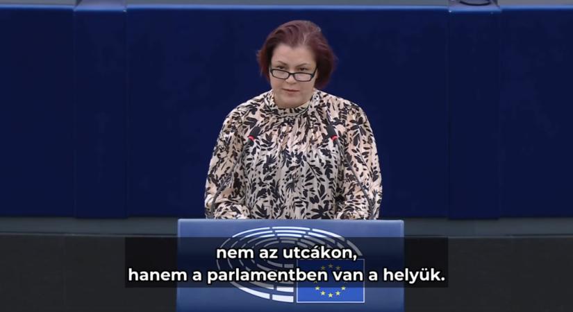 VMDK: Vicsek Annamária formálisan magyar EP-képviselő, valójában Vučić lobbistája