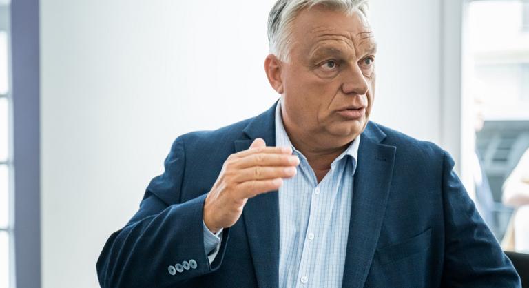 Orbán Viktor: A magyar tőkéscsoportok körül vannak stiklik