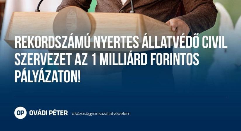 443 civil szervezet nyert támogatást: új korszak kezdődhet az állatvédelemben