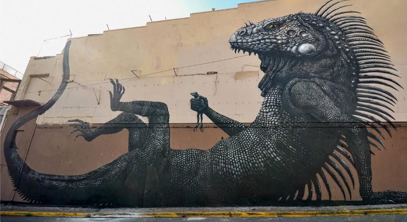ROA – Graffitim és egyéb állatfajták