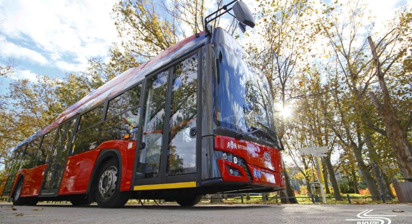 Ingyenes képzést és 830 ezer forintos bért ígérnek