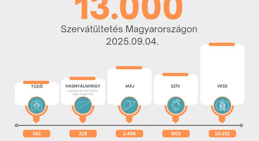 13 000 szervátültetés Magyarországon