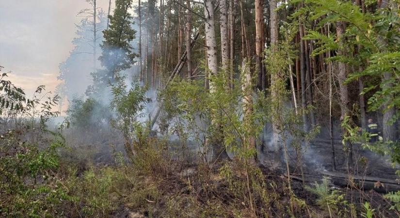 Heroikus küzdelem után, vasi tűzoltóegységek közreműködésével megfékezték az erdőtüzet Zalában