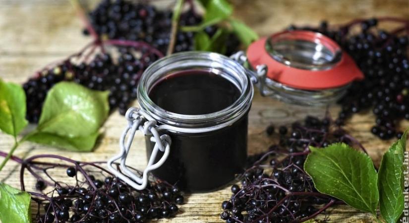 Ez a legfinomabb bodzabogyószörp recept házilag