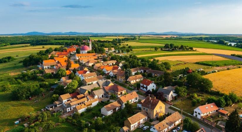 Ezeket a tetveket igazán csak gázperzselővel lehet kiirtani – de az ellenük való küzdelem nem reménytelen