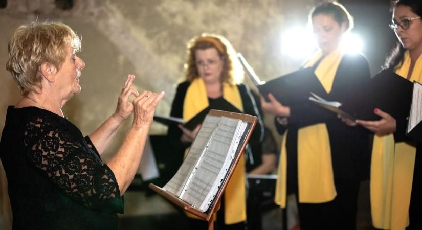 Tata újra a közösségek városa – indulnak a Civil Napok!