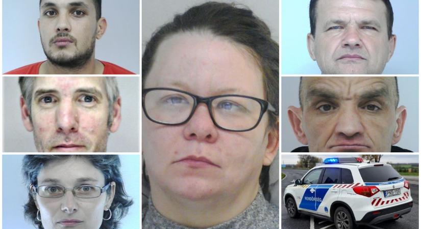 Jól nézd meg az ország 6 legundorítóbb szörnyét, kisgyerekkel tették meg ( galéria)