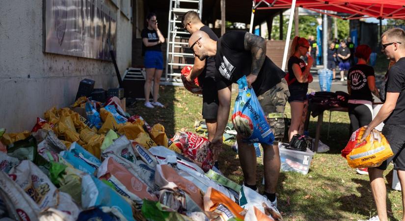 A rekordok rekordja dőlt meg hétvégén: tonnaszámban mérték az állatmenhely adományait