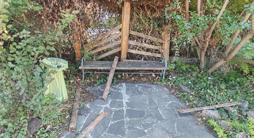 Viharként söpörtek végig Gárdonyon huligánok, rémisztő éjszakát éltek át a helyiek
