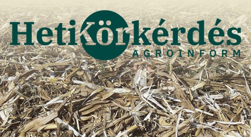Két kérdés a szárbontókról – Heti Körkérdés