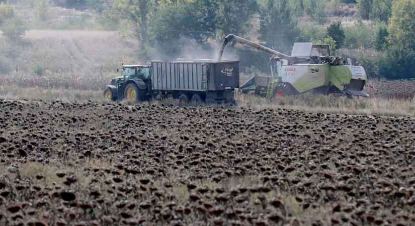 A mezőgazdasági dolgozókat sem kímélné a Tisza-adó – Mutatjuk, mennyivel keresnének kevesebbet