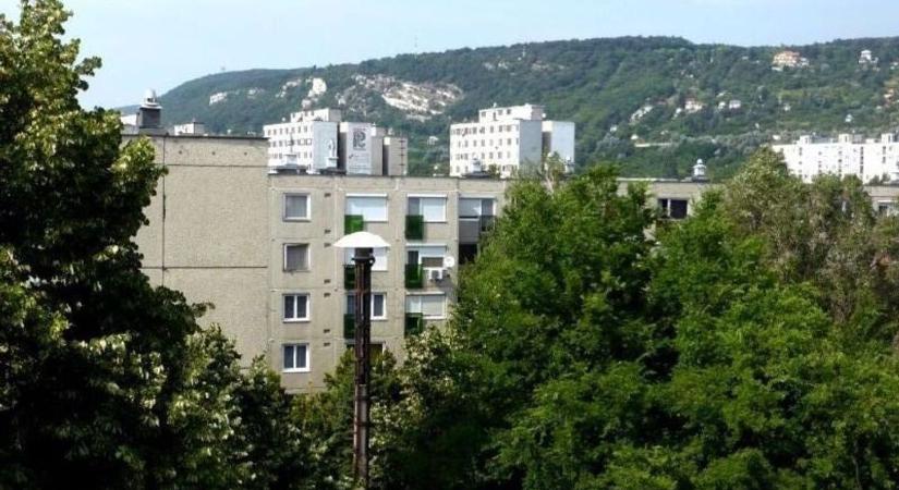 Elindult a licit: ezek a tatabányai önkormányzati lakások kerültek árverésre