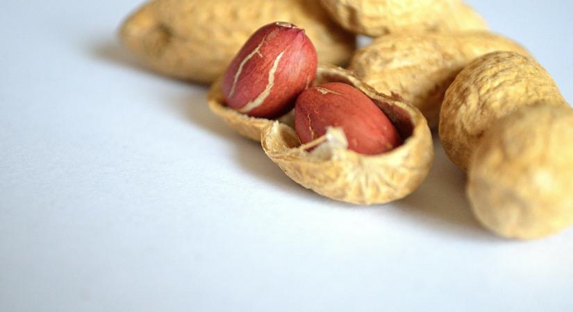 Megvan az ítélet az allergiás roham miatt meghalt kisfiú ügyében