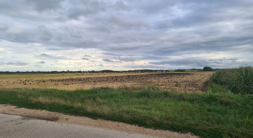 Szeszélyes oldalát mutatja Csütörtökön az időjárás