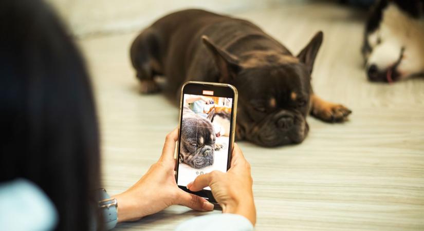 Minden Fejér megyeit lebuktatott a telefonja, belelestünk a fotóitokba