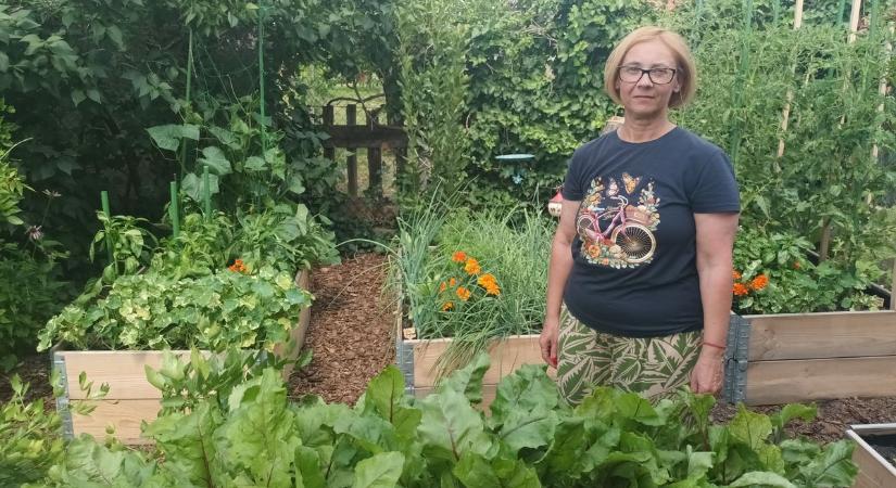 Mutatjuk a növényorvos kertjét, mely bejutott az országos versenyre – hasznos tippeket is kaptunk a szakembertől – galéria