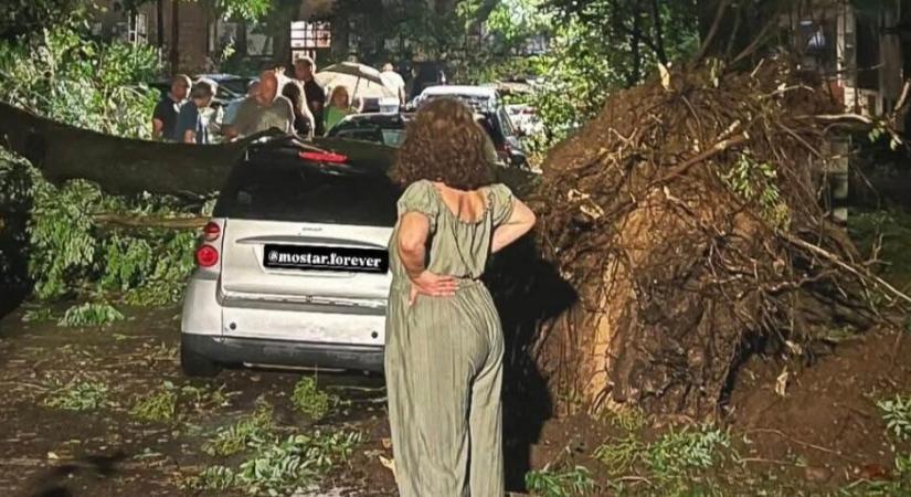 Fákat tépett ki a szél, mindent vitt a víz a horvát tengerparton