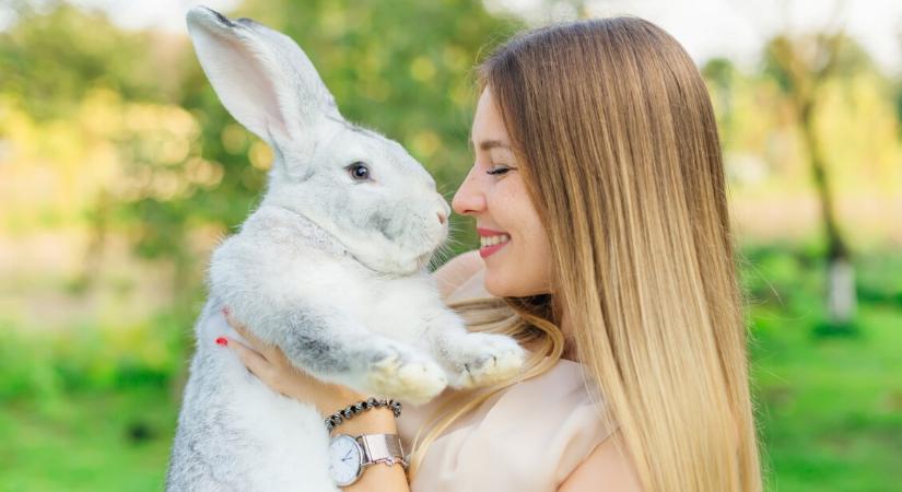 Átformálja az ember az állatvilágot: miért nőnek a háziállatok, miközben a vadak zsugorodnak?
