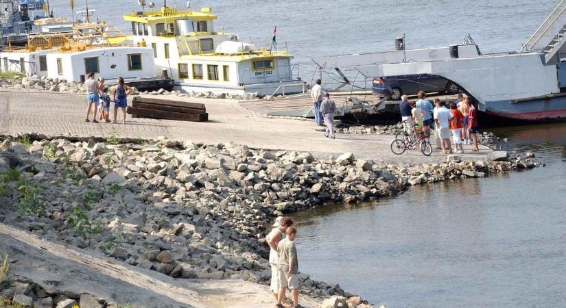 Riasztó fotók érkeztek a Dunáról és baranyai tavakról (GALÉRIA)