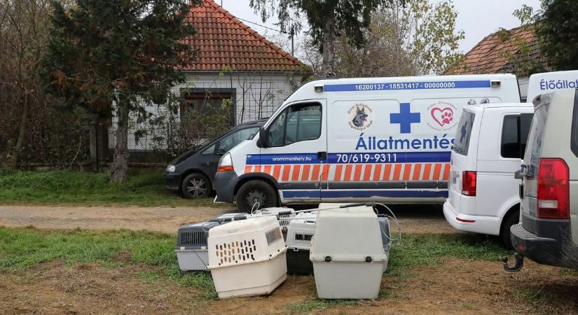 Megrázó állatkínzások árnyékában Somogy sem maradt ki a pénzesőből