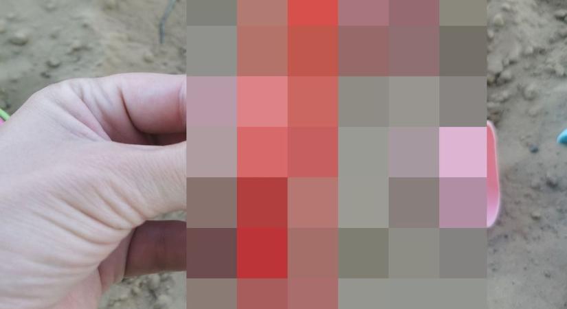 Homokozóban hagyta ezt egy nő Nyíregyházán! – „Aki nevet, annak – feltételezem – nincs gyereke”