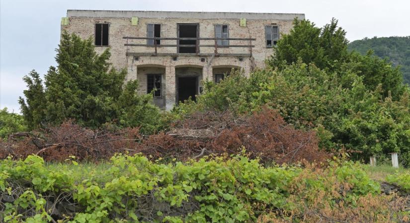 Rákay Philipnek személyesen mondta el Lázár államtitkára, hogyan kell kreatívan alkalmazni a jogszabályokat villabővítésénél