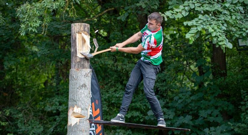 Soponyán nem csak az ízek csaptak össze, hanem a fűrészek is