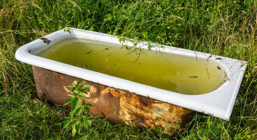 Fogott egy rozsdás, régi fürdőkádat a férj, és olyan kerti dísszé alakította, hogy a szomszédok is irigykednek