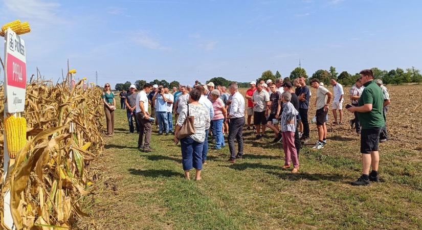 Fajtabemutató: egy jó választással megalapozhatja a gazda a jövő évi termést