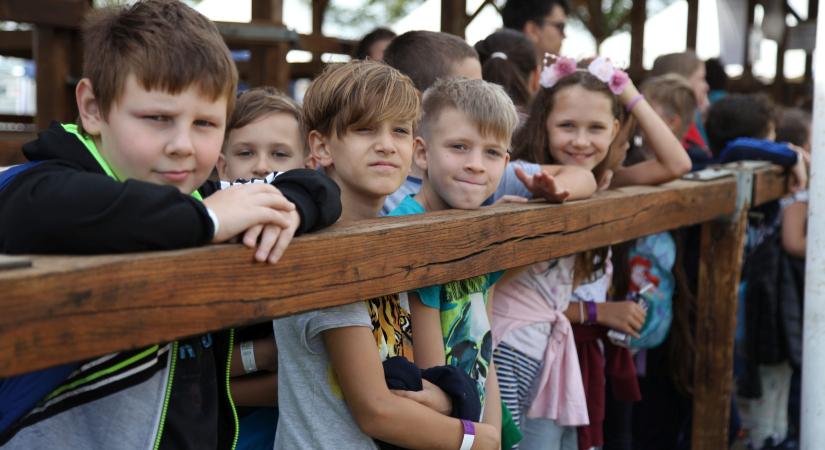 Hiába születik sok gyerek Vásárhelyen, mégis csökken a városlakók száma