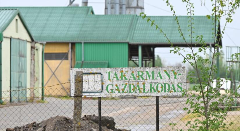 Hazánk visszanyerte a ragadós száj- és körömfájás betegségtől való mentességét