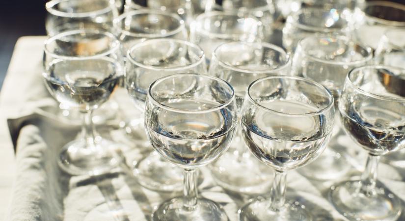 Az ország legszebb gyümölcstermesztő birtokának adott át díjat a Greenman