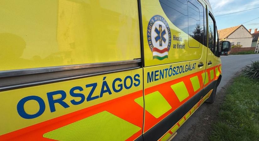 Életveszélyes darázscsípéshez érkeztek a mentősök