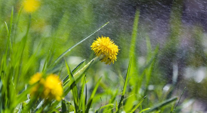 Napsütéssel indul a hétvége, de vasárnap ismét csapadék érkezik