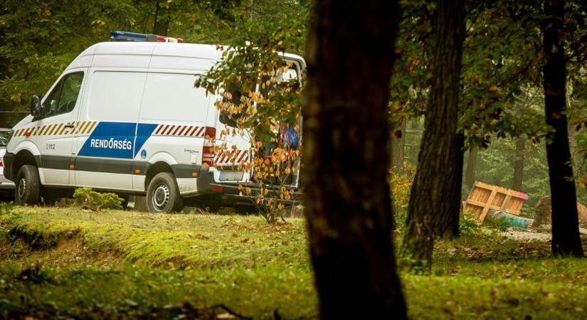 Titokzatos holttest bukkant elő a földből a Balaton közelében: hiányzik egy darab a koponyájából