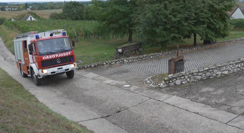 Főszerepben a szüreti időszak veszélyei