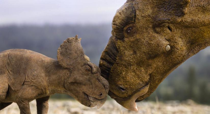 25 év után visszatértek – új fejezet nyílik a dinoszauruszok világában Érkezik a Dinoszauruszok, a Föld urai új sorozat