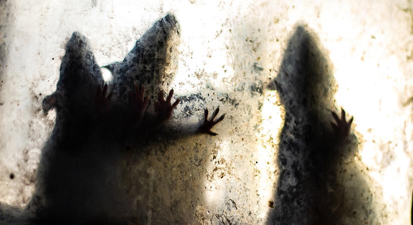 Ismét felütötte a fejét a bubópestis
